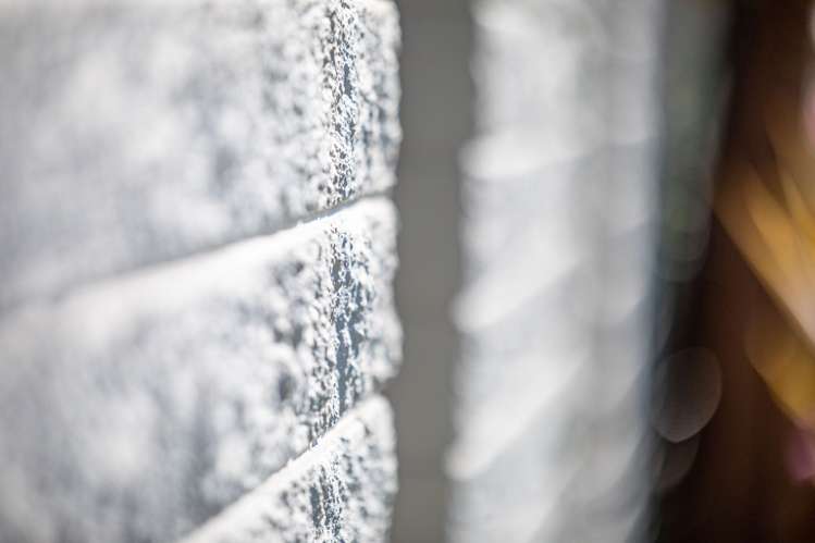 3 Dalton Crescent Dinsdale_29