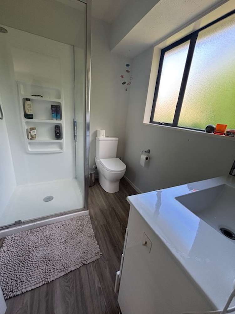 17 Showgate Ave Sockburn_9