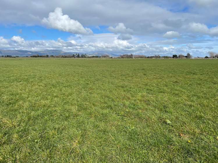 279 Karere Road Tiakitahuna_10