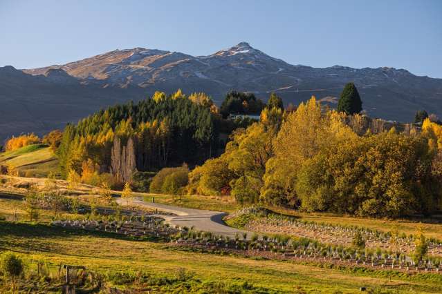 20 Station Rise Dalefield/Wakatipu Basin_4