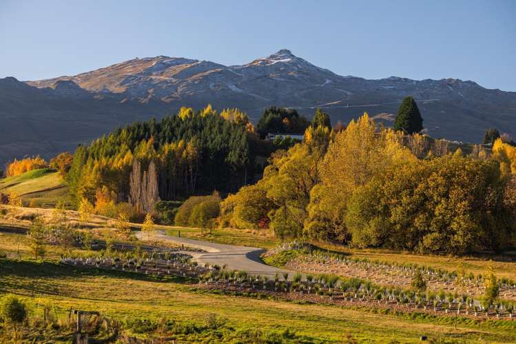 20 Station Rise Dalefield/Wakatipu Basin_3