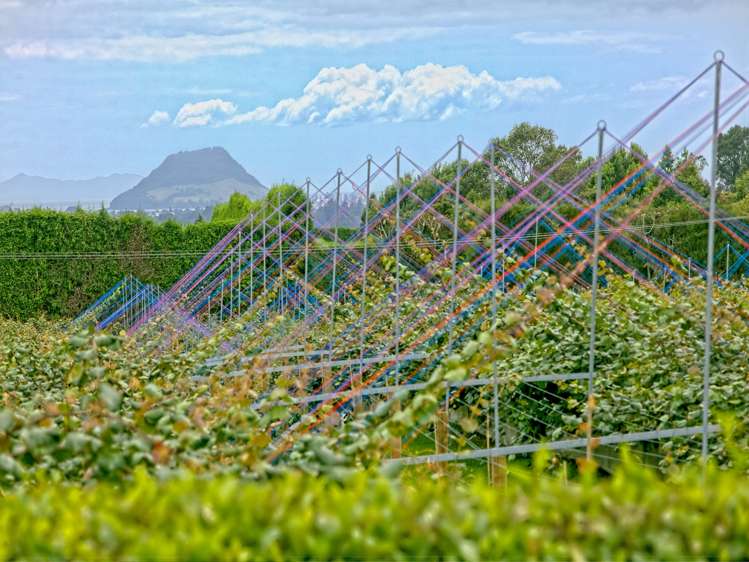 419b Joyce Road Pyes Pa_30