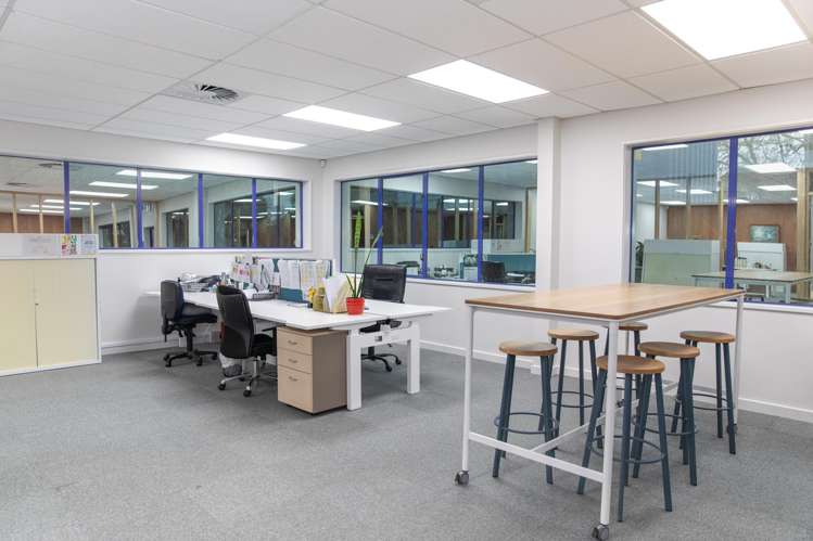 21 Clifton Road Hamilton Central_6