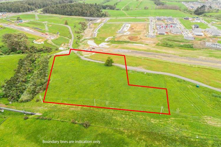 117 Murphys Road Flat Bush_4