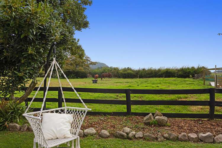 417 Matata Road Matata_20