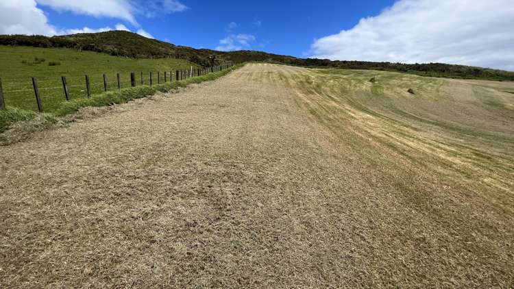 56 Opononi Heights Drive Opononi_5