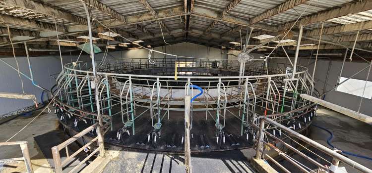 465 Adam Fleming Road Crossans Corner_9