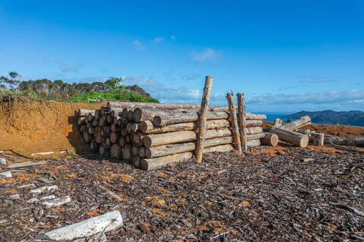 982B Manaia Road Coromandel_27