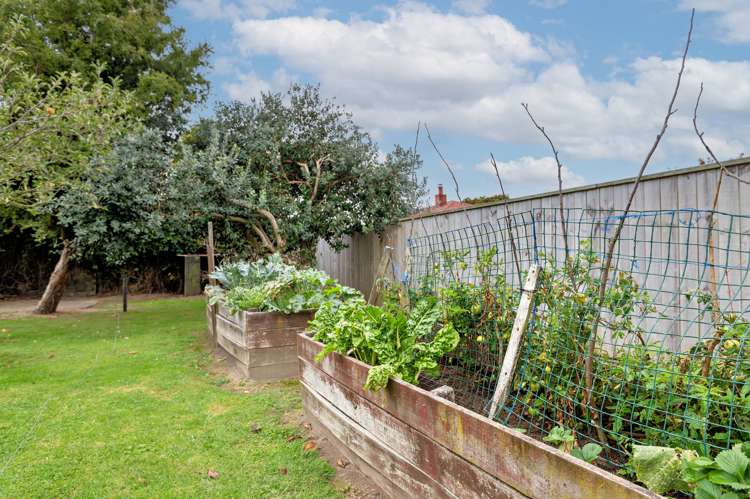 134 Richard Street Opotiki and Surrounds_14