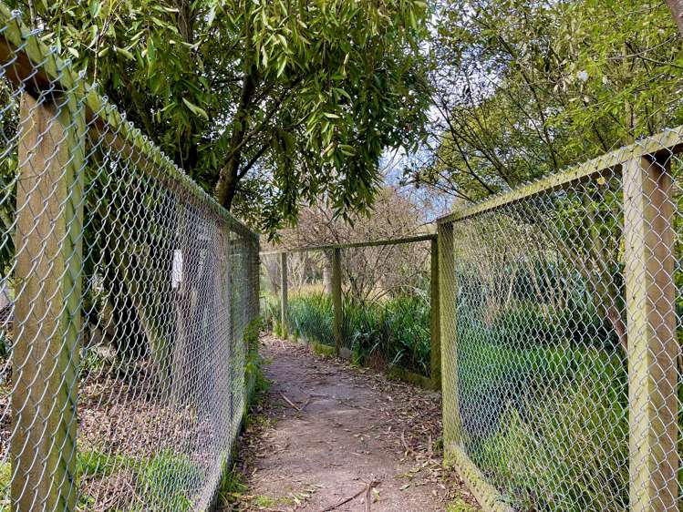 23 Goodwood Road Palmerston_18