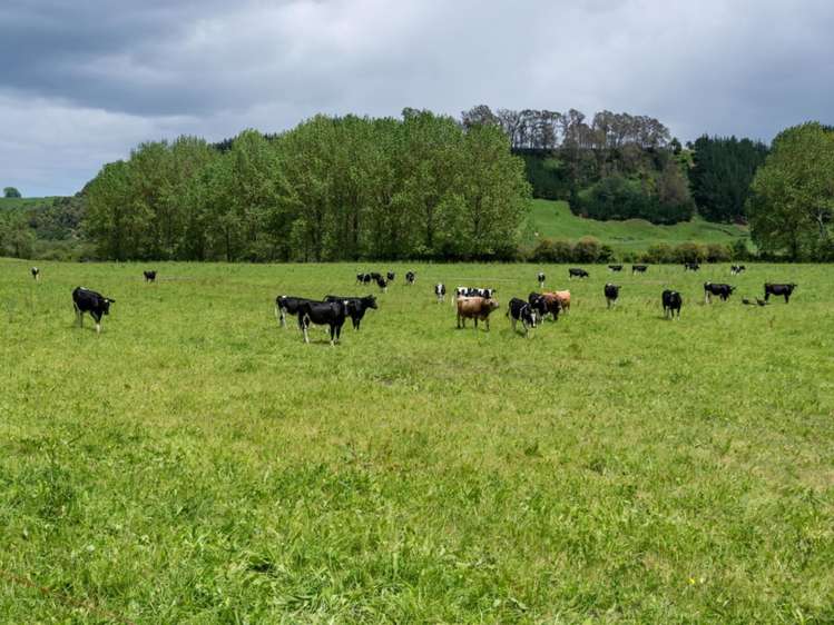 519 Otamarakau Valley Road Pukehina_6