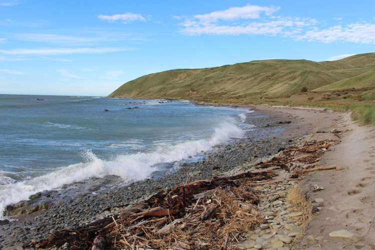 750 Otahome Road Otahome_8