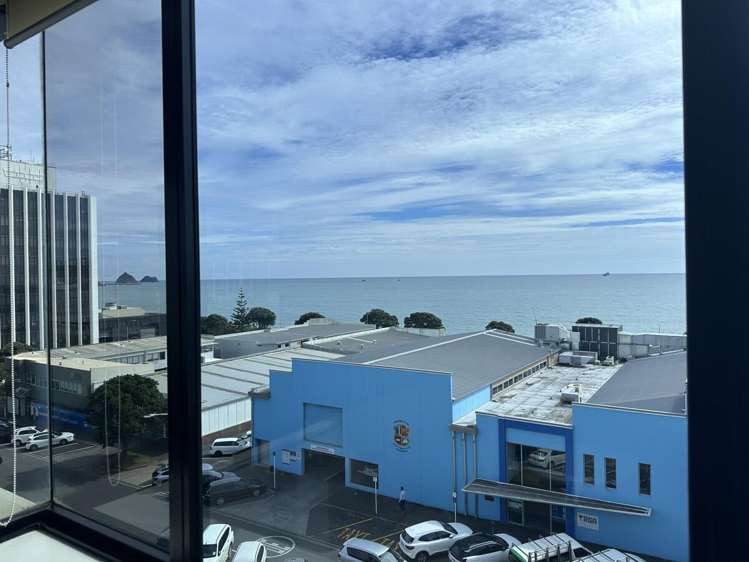 Level 4, 54 Gill Street New Plymouth_7