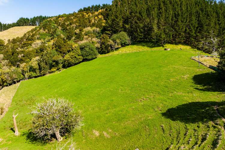 551 Tinopai Road Tinopai_20