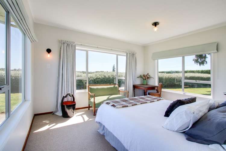 133 York Road Longlands_9