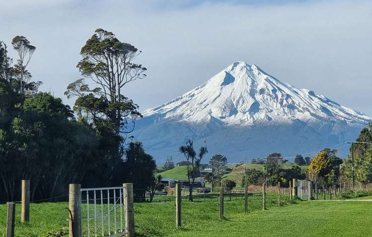 183 Warea Road Warea_8