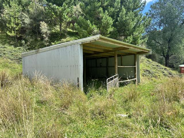 328B Kaka Road Okoki_1