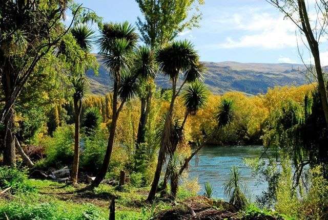 13 Paisley Place Roxburgh_4