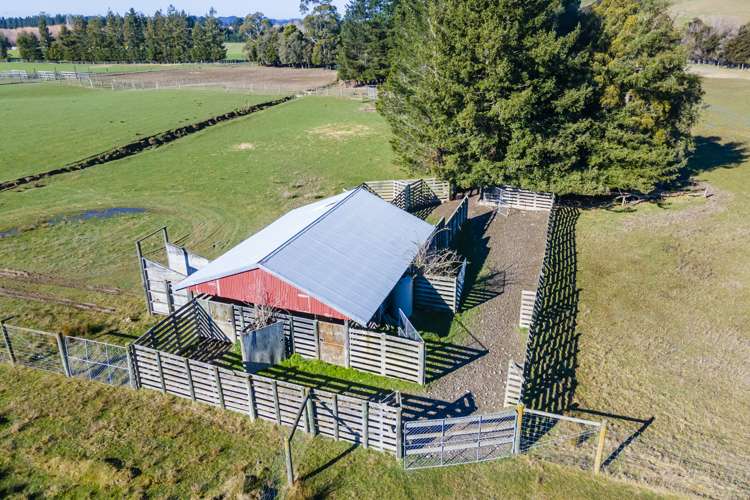 45 Quantock Road Geraldine_11