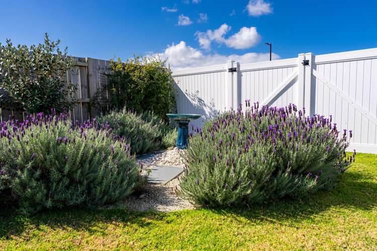 4 Te Taniwha Road One Tree Point_48