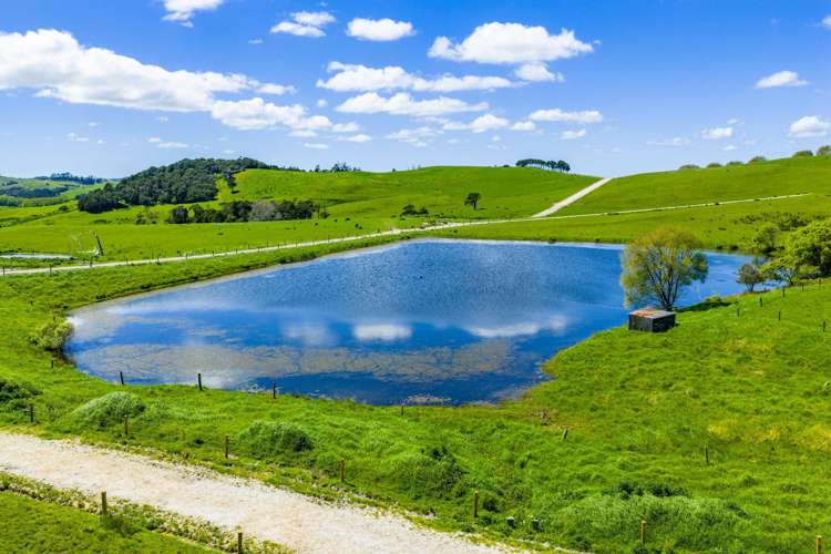 29 Keer Road Dargaville_37