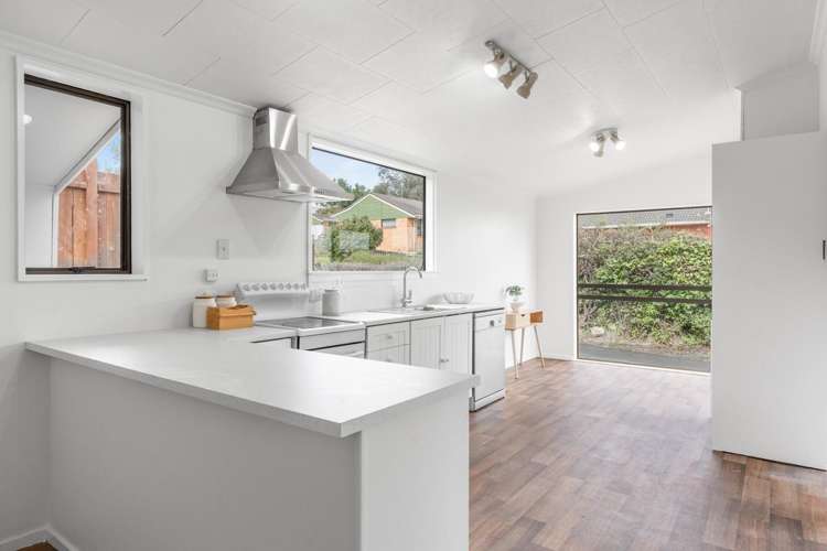 12 Shand Street Green Island_5