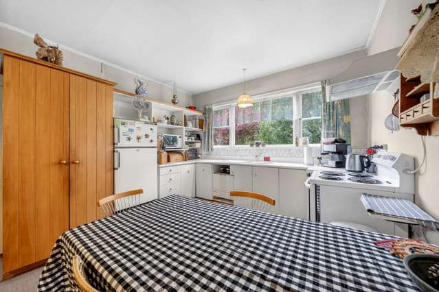 51 Millard Avenue Kuripuni_2