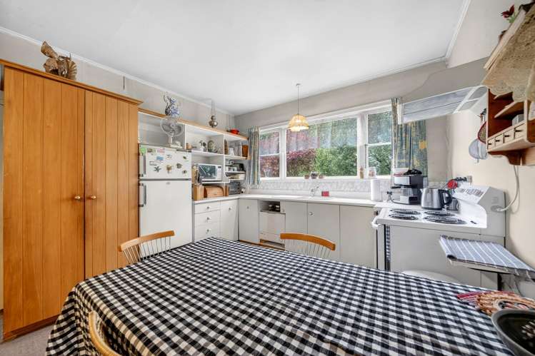 51 Millard Avenue Kuripuni_2