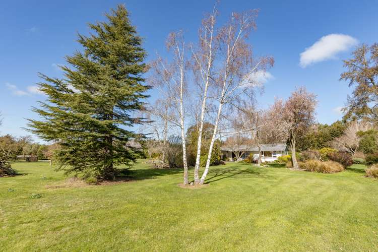 1029 Tram Road Swannanoa_17