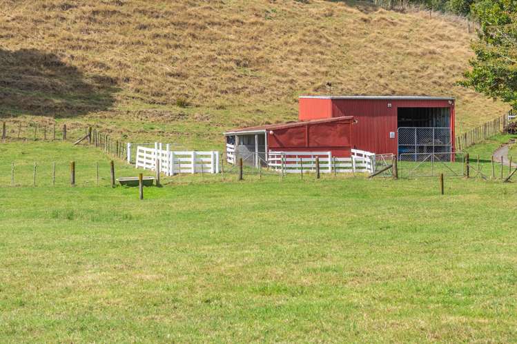 83 Honi Taipua Street Manakau_6