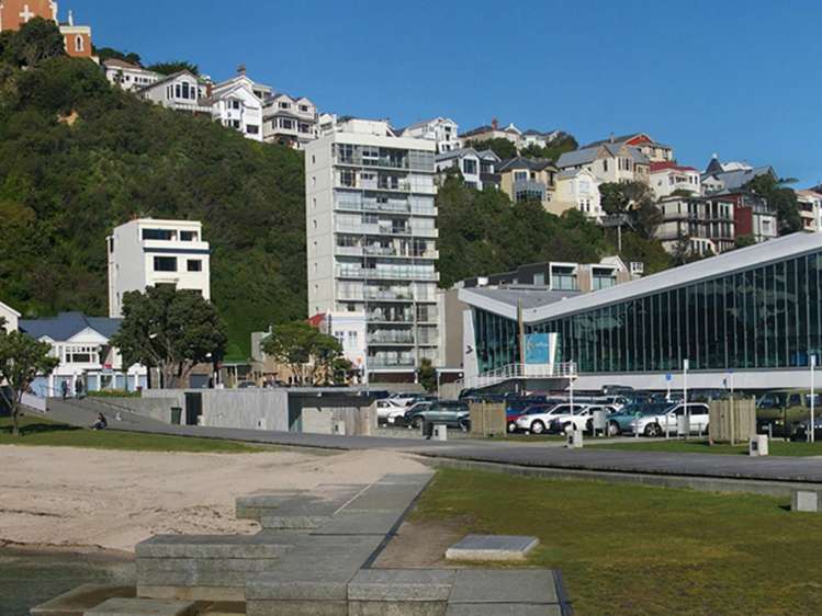 3b/172 Oriental Parade Oriental Bay_34