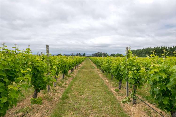 213 Chaytors Road Spring Creek_36