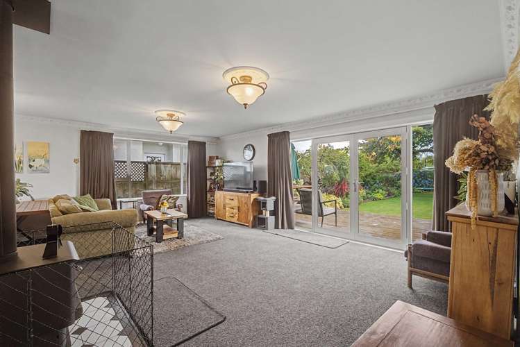 542 Herbert Street Waverley_5