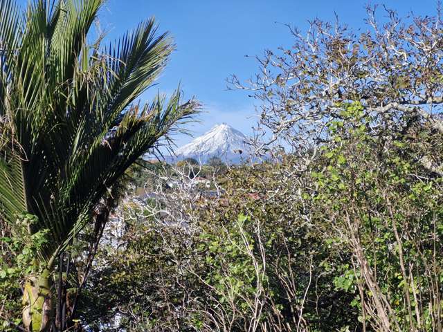 51 Young Street City Centre_4