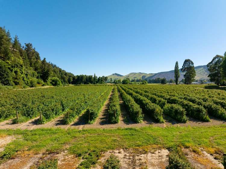 160 Tadmor Valley Road Tapawera_10