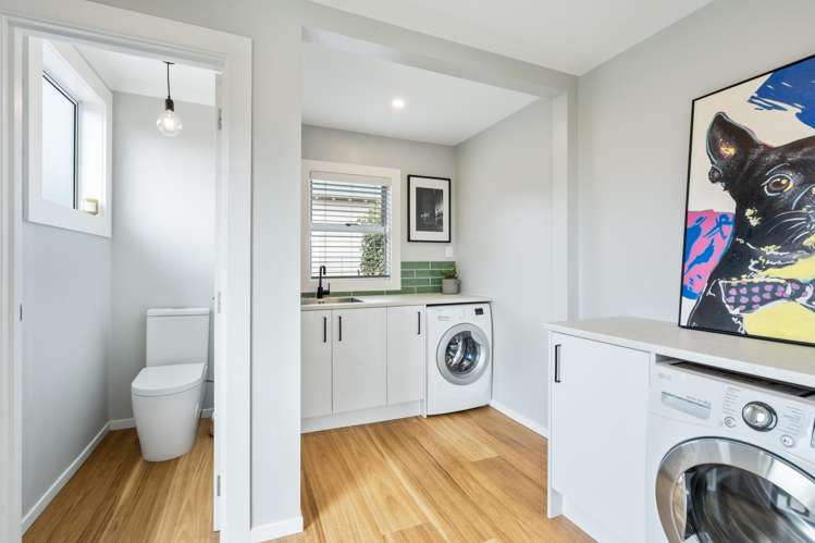 255 Macandrew Road Forbury_13