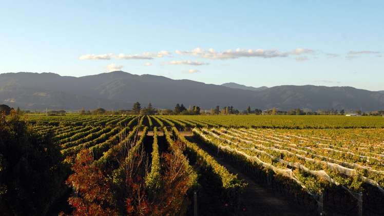 15 Godfrey Road Fairhall_9