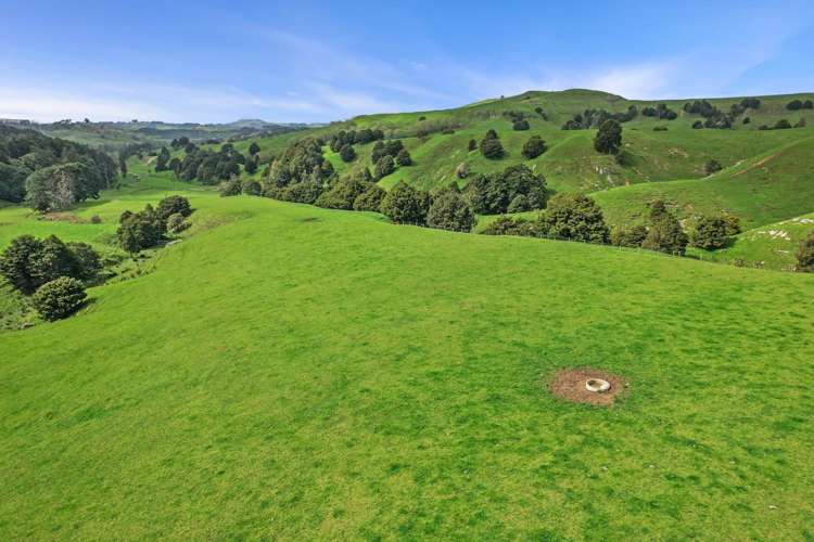 895 Wairamarama Onewhero Road Onewhero_23