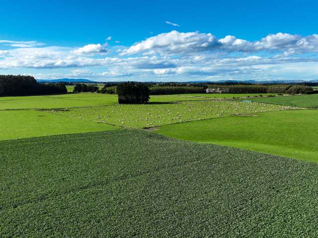 525 Woodlands-Morton Mains Road Morton Mains_4