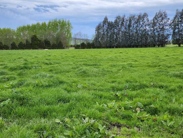 119 The Crescent Road Kaitangata_17