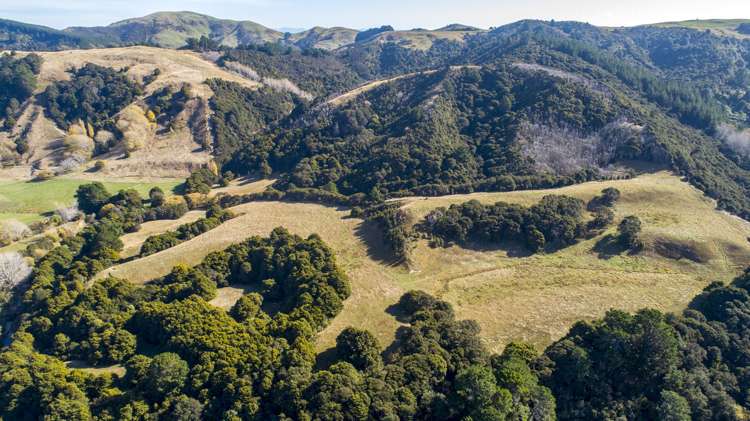 338 Tinui Valley Road Tinui_14