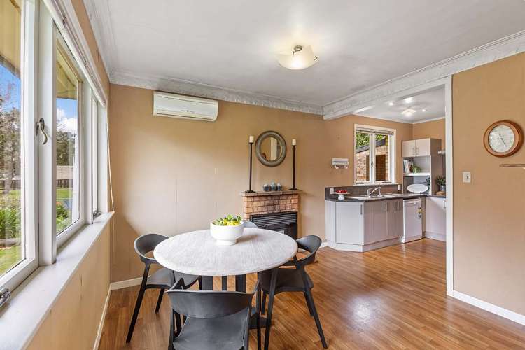 113 Stanley Avenue Te Aroha_3