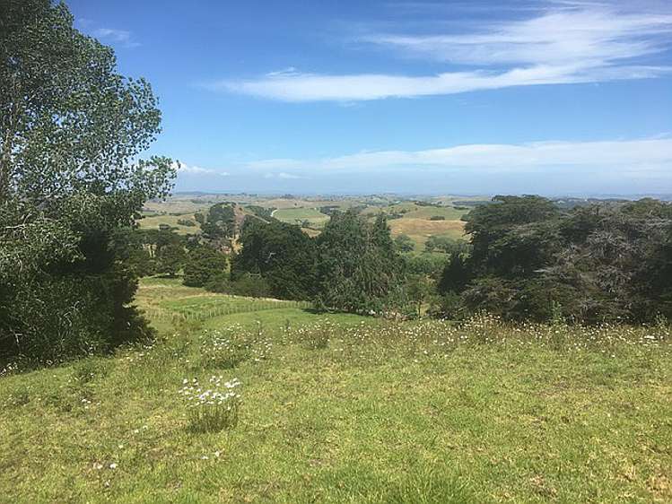 843 Whakapirau Road Whakapirau_24