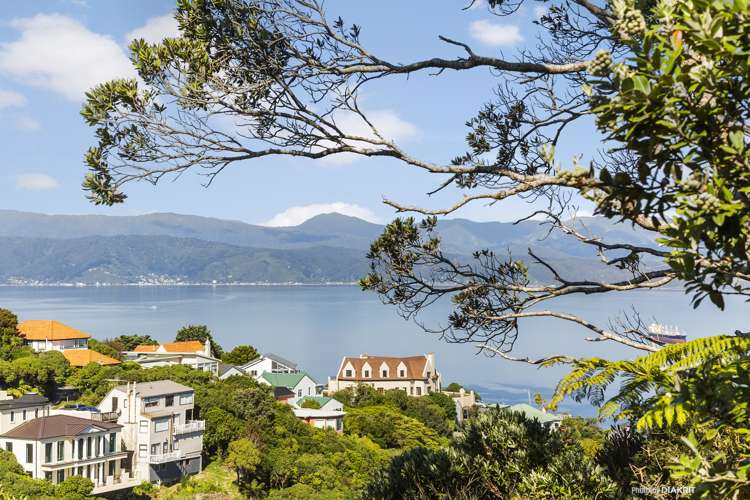 95 Nicholson Road Khandallah_15