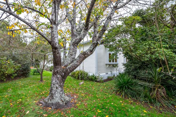 14 Mcmaster Street Greytown_5