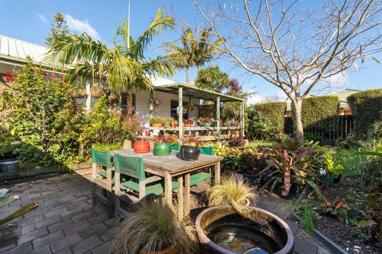 282b Range Road Papamoa_5