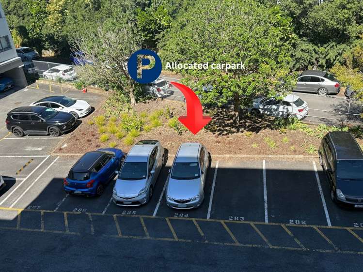 2c/19 Morning Star Place Mount Albert_13