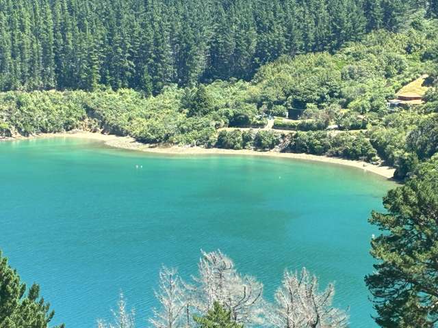 Cissy Bay Road, Cissy Bay French Pass_2