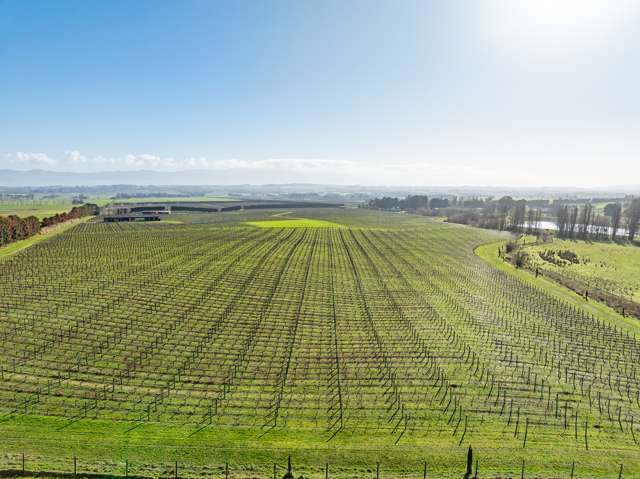 Lot 2 Vineyard Lane Martinborough_4