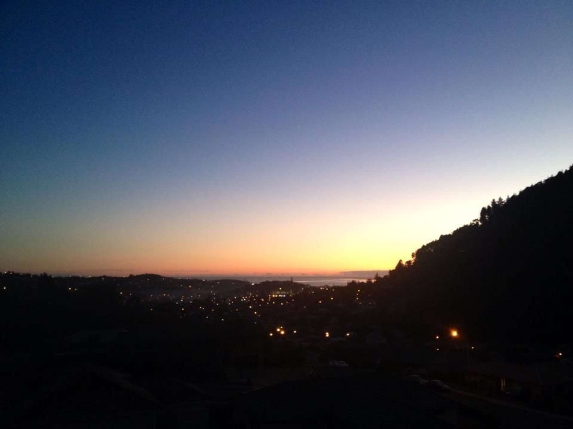 Bishopdale Avenue Bishopdale_0